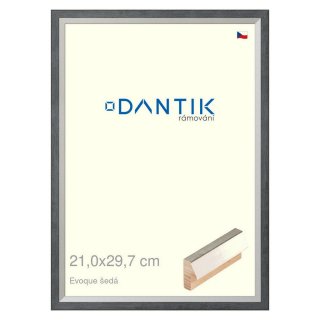 DANTIK rámeček 21x29,7 | EVOQUE šedá (Sklo Čiré)