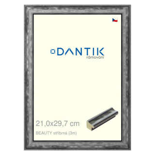 DANTIK rámeček 21x29,7 | BEAUTY stříbrná (Sklo Čiré)