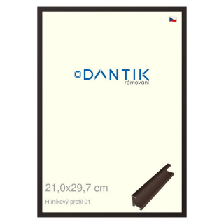 DANTIK rámeček 21x29,7 | ALU profil 7001 Hnědá matná (Sklo Čiré)
