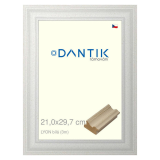 DANTIK rámeček 21x29,7 | LYON Bílá (Sklo Čiré)