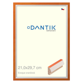 DANTIK rámeček 21x29,7 | EVOQUE oranžová (Sklo Čiré)