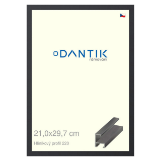 DANTIK rámeček 21x29,7 | ALU profil 6220 Černá matná (Sklo Čiré)
