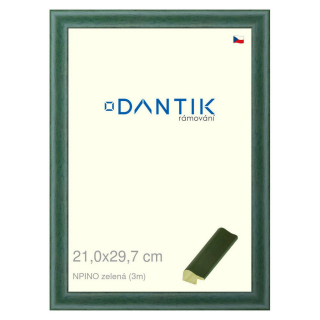 DANTIK rámeček 21x29,7 | NPINO zelená (Sklo Čiré)