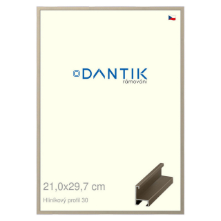 DANTIK rámeček 21x29,7 | ALU profil 6030 champagne (Sklo Čiré)