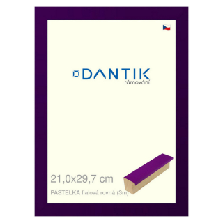DANTIK rámeček 21x29,7 | PASTELKA fialová rovná (Sklo Čiré)