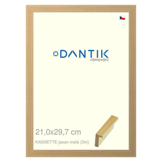 DANTIK rámeček 21x29,7 | KASSETTE jasan malá (Sklo Čiré)
