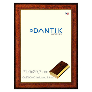 DANTIK rámeček 21x29,7 | CASTAGNO hnědá Au linka (Sklo Čiré)