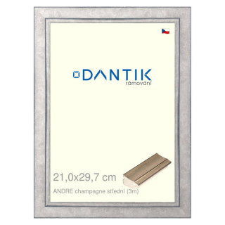 DANTIK rámeček 21x29,7 | ANDRE champagne střední (Sklo Čiré)