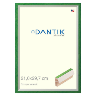 DANTIK rámeček 21x29,7 | EVOQUE zelená (Sklo Čiré)