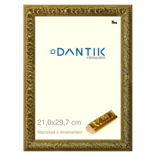 DANTIK rámeček 21x29,7 | Starozlatá s ornamentem (Sklo Čiré)