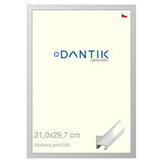 DANTIK rámeček 21x29,7 | ALU profil 6220 Bílá matná (Sklo Čiré)