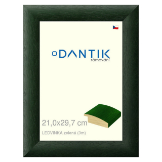 DANTIK rámeček 21x29,7 | LEDVINKA zelená (Sklo Čiré)