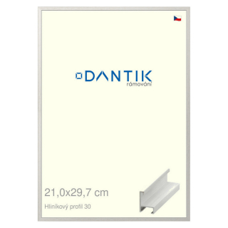 DANTIK rámeček 21x29,7 | ALU profil 6030 Dýha bílá (Sklo Čiré)