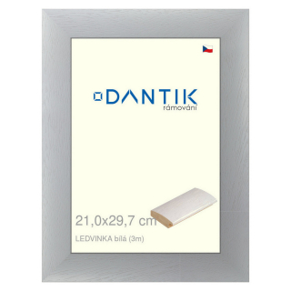 DANTIK rámeček 21x29,7 | LEDVINKA bílá (Sklo Čiré)