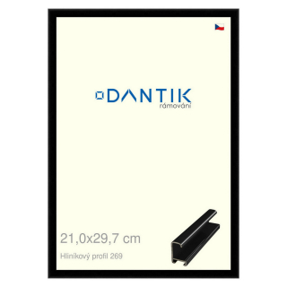DANTIK rámeček 21x29,7 | ALU profil 7269 Černá lesklá (Sklo Čiré)