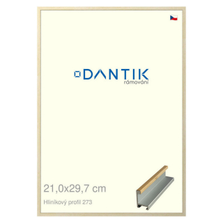 DANTIK rámeček 21x29,7 | ALU profil 7273 Dýha javor (Sklo Čiré)