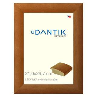 DANTIK rámeček 21x29,7 | LEDVINKA světle hnědá (Sklo Čiré)