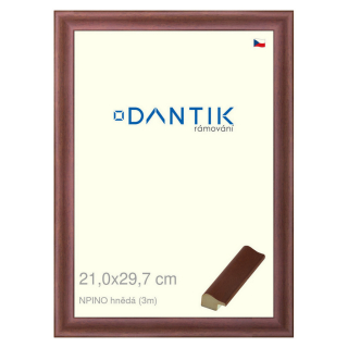 DANTIK rámeček 21x29,7 | NPINO hnědá (Sklo Čiré)