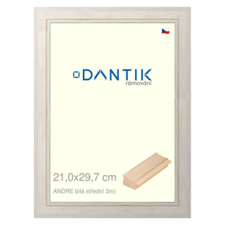 DANTIK rámeček 21x29,7 | ANDRE Bílá střední (Sklo Čiré)
