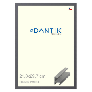 DANTIK rámeček 21x29,7 | ALU profil 6220 Ocelová (Sklo Čiré)