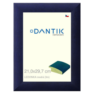 DANTIK rámeček 21x29,7 | LEDVINKA modrá (Sklo Čiré)