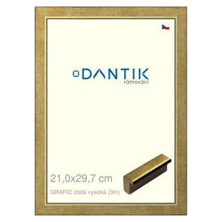 DANTIK rámeček 21x29,7 | GRAFIC zlatá vysoká (Sklo Čiré)