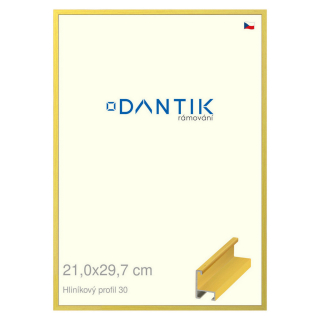 DANTIK rámeček 21x29,7 | ALU profil 6030 Dýha barevná žlutá citrus (Sklo Čiré)