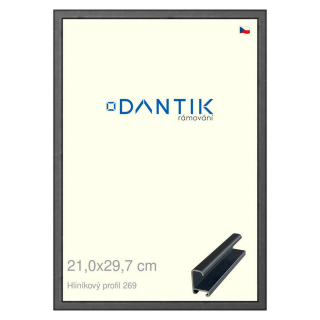 DANTIK rámeček 21x29,7 | ALU profil 7269 Šedá Oplal broušená (Sklo Čiré)