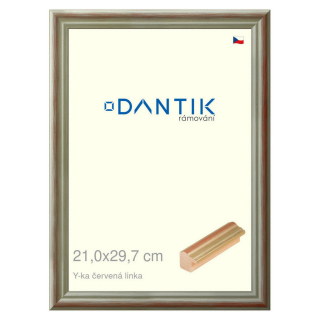 DANTIK rámeček 21x29,7 | Y-ka červená linka (Sklo Čiré)