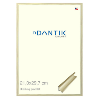 DANTIK rámeček 21x29,7 | ALU profil 7001 zlatá lesklá alternativa (Sklo Čiré)