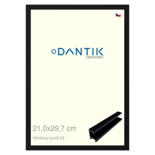 DANTIK rámeček 21x29,7 | ALU profil 7003 Černá Florentinská (Sklo Čiré)