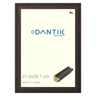 DANTIK rámeček 21x29,7 | BEAUTY hnědá (Sklo Čiré)