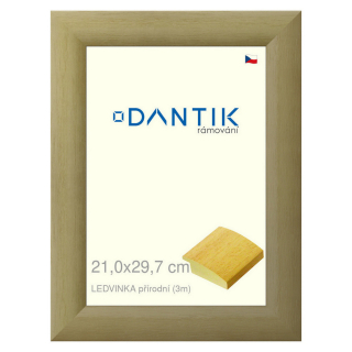 DANTIK rámeček 21x29,7 | LEDVINKA přírodní (Sklo Čiré)