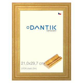DANTIK rámeček 21x29,7 | LYON zlatá (Sklo Čiré)