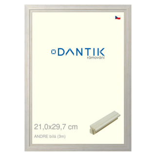 DANTIK rámeček 21x29,7 | ANDRE Bílá (Sklo Čiré)
