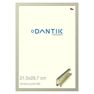 DANTIK rámeček 21x29,7 | ALU profil 7269 Šedá Pyrit broušená (Sklo Čiré)