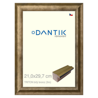 DANTIK rámeček 21x29,7 | TRITON bílý bronz (Sklo Čiré)