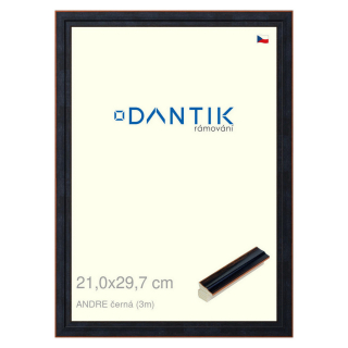 DANTIK rámeček 21x29,7 | ANDRE černá (Sklo Čiré)