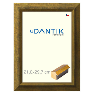 DANTIK rámeček 21x29,7 | Forgia Gold (Sklo Čiré)
