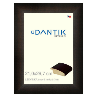 DANTIK rámeček 21x29,7 | LEDVINKA tmavě hnědá (Sklo Čiré)