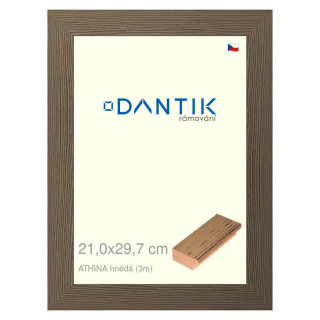 DANTIK rámeček 21x29,7 | ATHINA hnědá (Sklo Čiré)