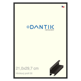 DANTIK rámeček 21x29,7 | ALU profil 6030 Černá matná (Sklo Čiré)