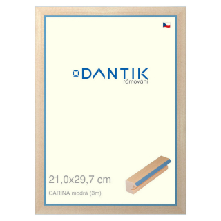 DANTIK rámeček 21x29,7 | CARINA modrá (Sklo Čiré)