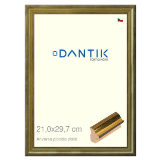 DANTIK rámeček 21x29,7 | ANIVERSA piccola zlatá (Sklo Čiré)