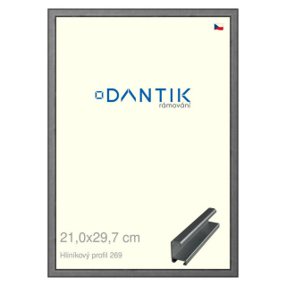 DANTIK rámeček 21x29,7 | ALU profil 7269 Ššedá broušená (Sklo Čiré)
