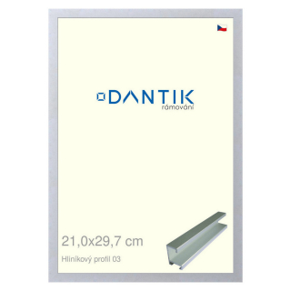 DANTIK rámeček 21x29,7 | ALU profil 7003 Stříbrná matná (Sklo Čiré)