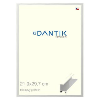 DANTIK rámeček 21x29,7 | ALU profil 6001 Stříbrná lesklá (Sklo Čiré)