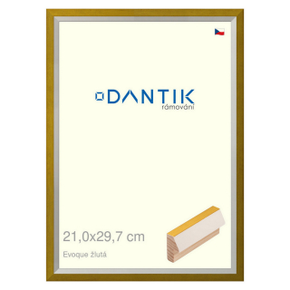 DANTIK rámeček 21x29,7 | EVOQUE žlutá (Sklo Čiré)