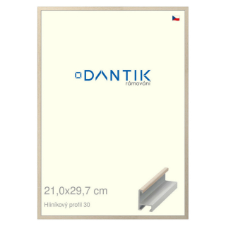 DANTIK rámeček 21x29,7 | ALU profil 6030 Dýha slovnová kost (Sklo Čiré)