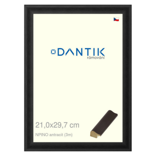 DANTIK rámeček 21x29,7 | NPINO antracit (Sklo Čiré)